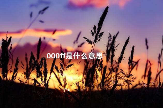 000ff是什么意思