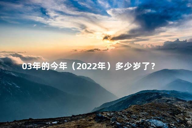 03年的今年（2022年）多少岁了？