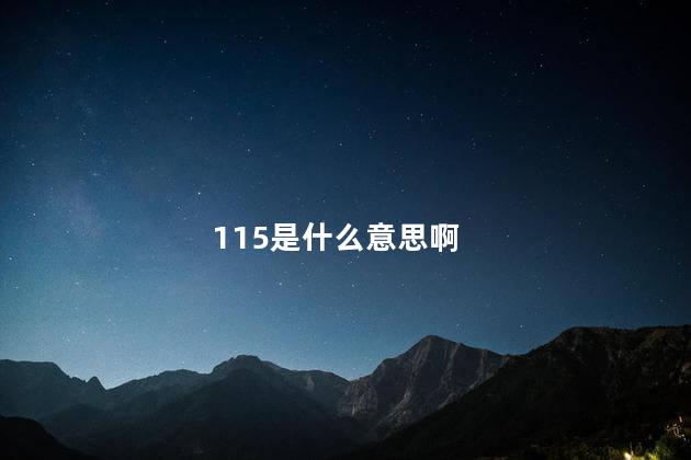 115是什么意思啊