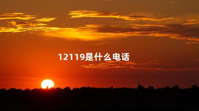 12119是什么电话