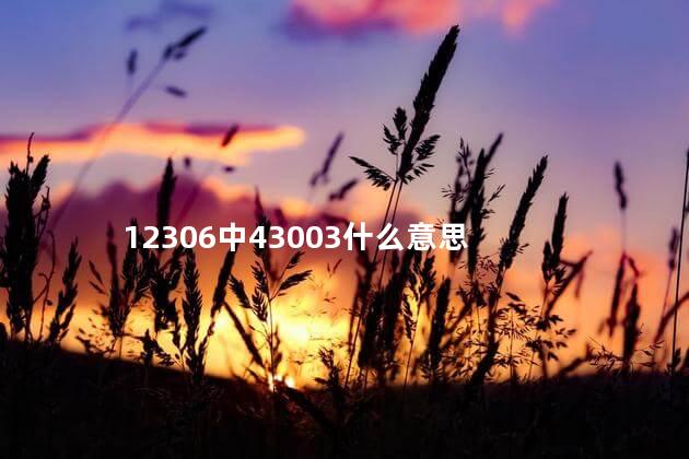 12306中43003什么意思