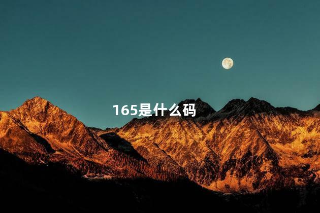 165是什么码