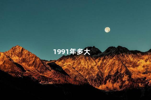 1991年多大