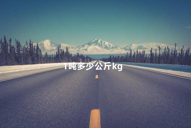 1吨多少公斤kg