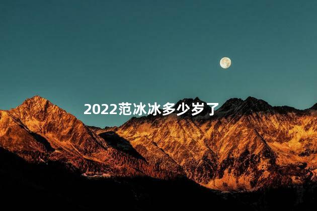 2022范冰冰多少岁了