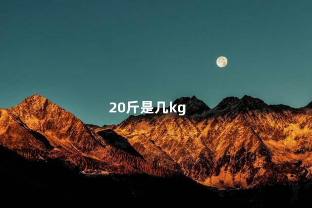 20斤是几kg