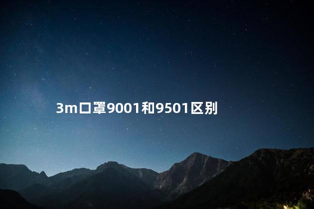 3m口罩9001和9501区别