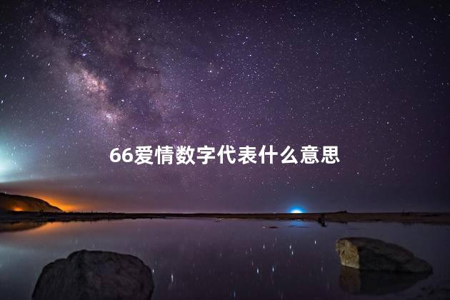 66爱情数字代表什么意思