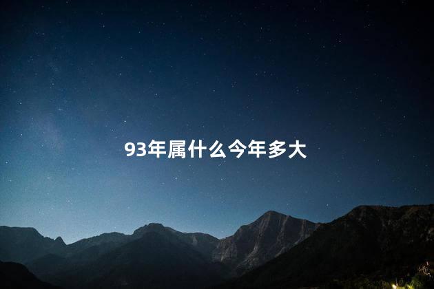 93年属什么今年多大