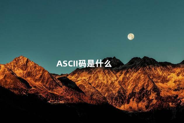 ASCII码是什么