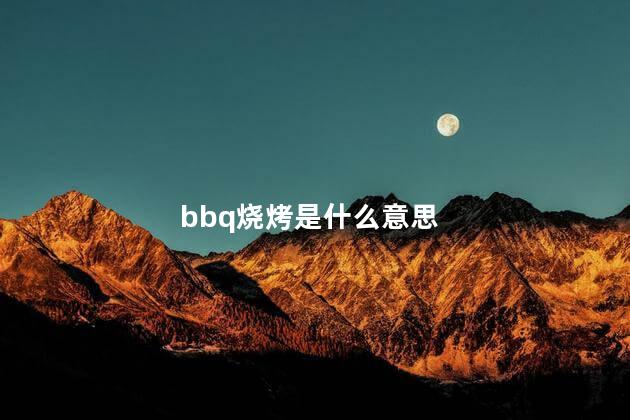 bbq烧烤是什么意思