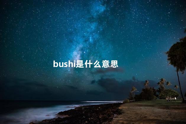 bushi是什么意思