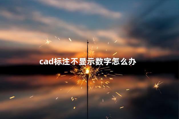 cad标注不显示数字怎么办