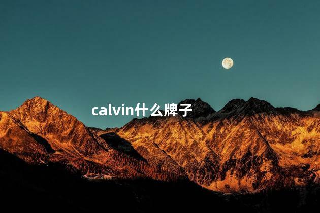 calvin什么牌子