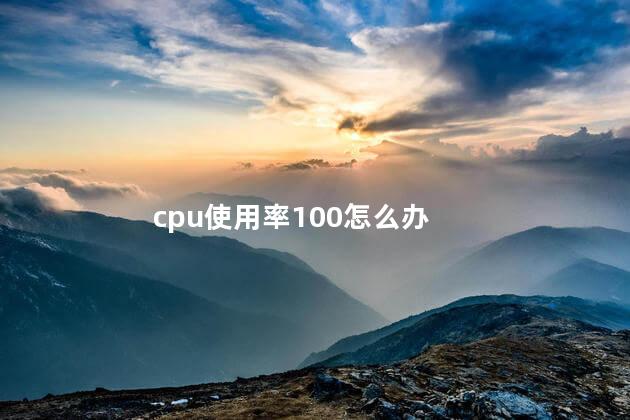 cpu使用率100怎么办