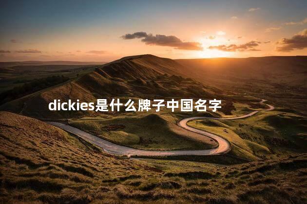 dickies是什么牌子中国名字