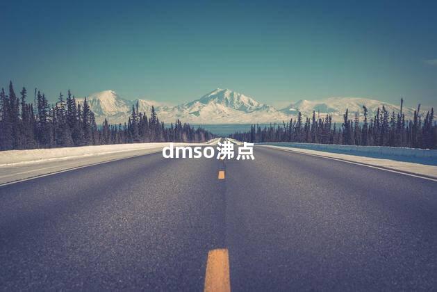 dmso沸点