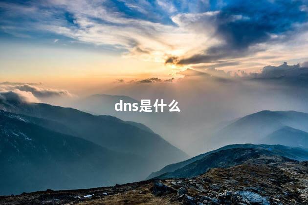 dns是什么