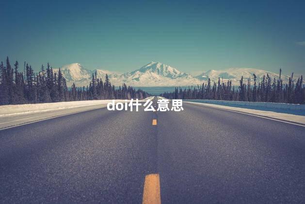 doi什么意思