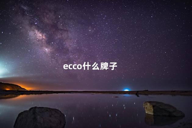 ecco什么牌子