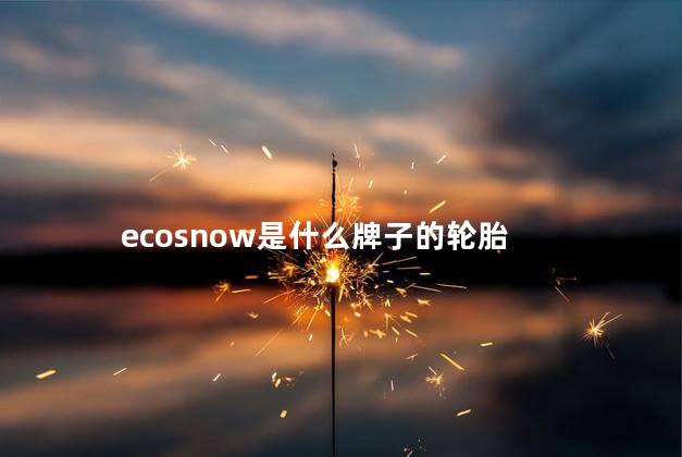 ecosnow是什么牌子的轮胎