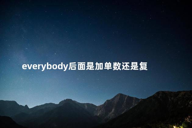 everybody后面是加单数还是复数