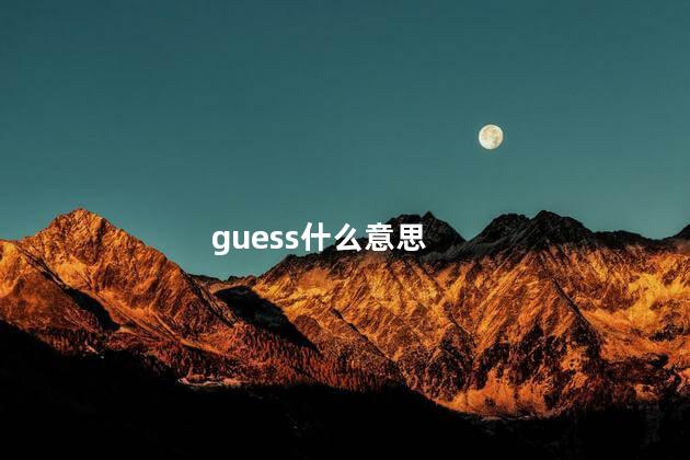 guess什么意思