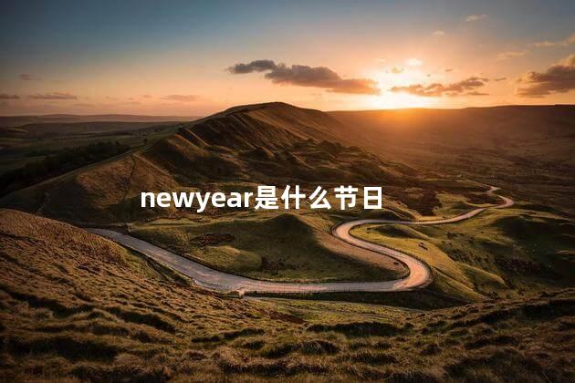 newyear是什么节日