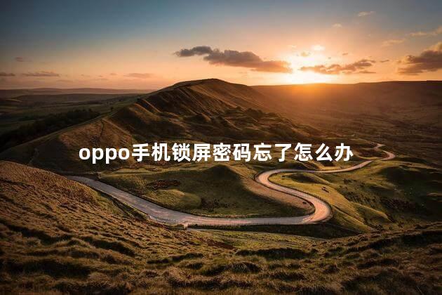 oppo手机锁屏密码忘了怎么办