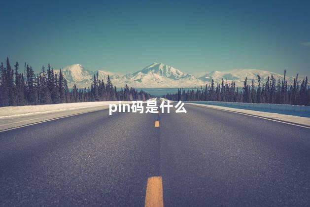 pin码是什么