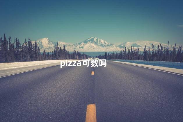 pizza可数吗