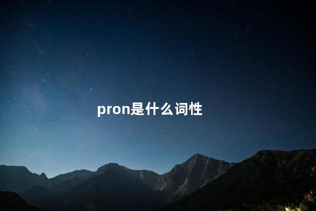 pron是什么词性