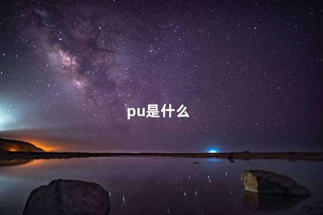 pu是什么