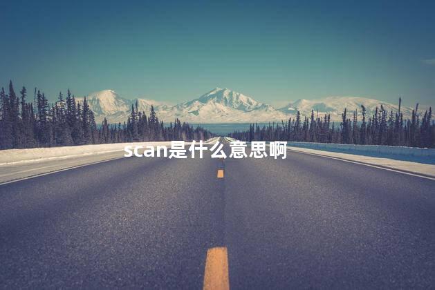 scan是什么意思啊