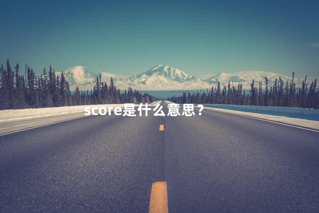 score是什么意思？