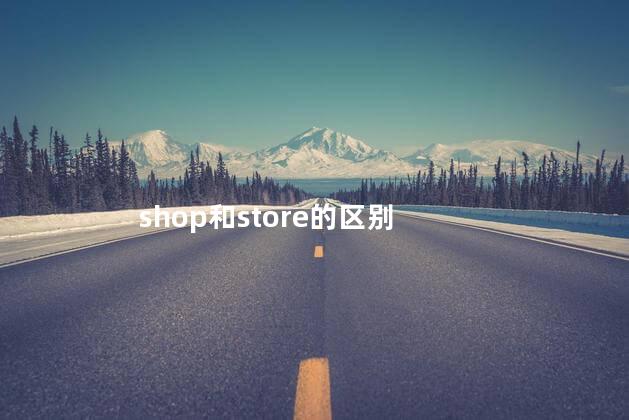 shop和store的区别