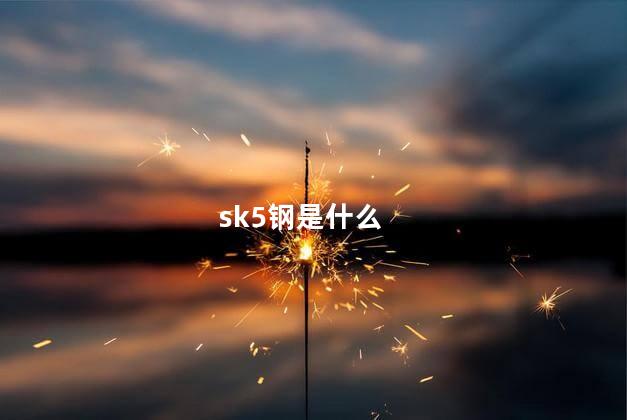 sk5钢是什么