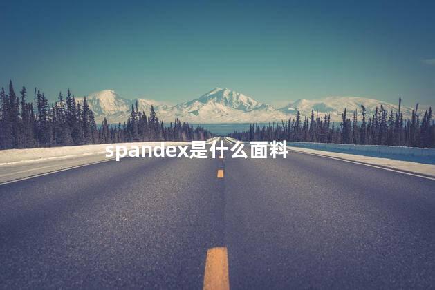 spandex是什么面料