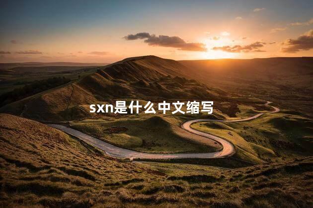 sxn是什么中文缩写