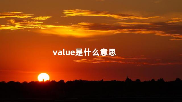 value是什么意思