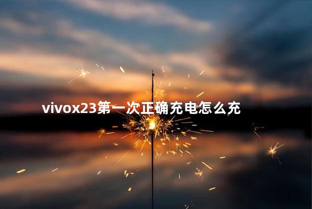 vivox23第一次正确充电怎么充