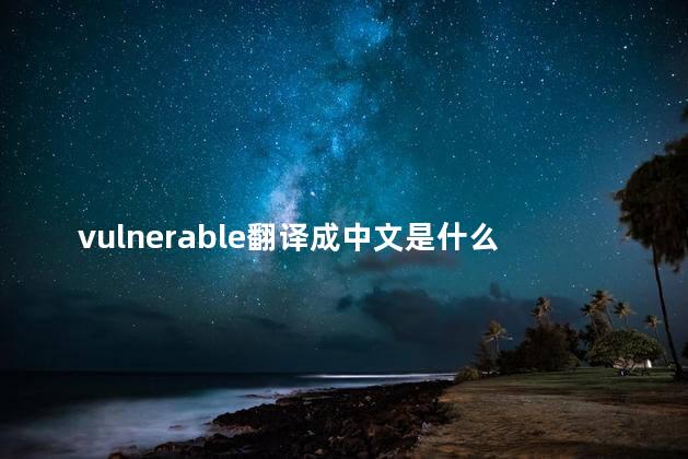 vulnerable翻译成中文是什么