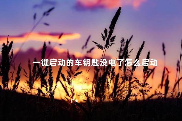 一键启动的车钥匙没电了怎么启动