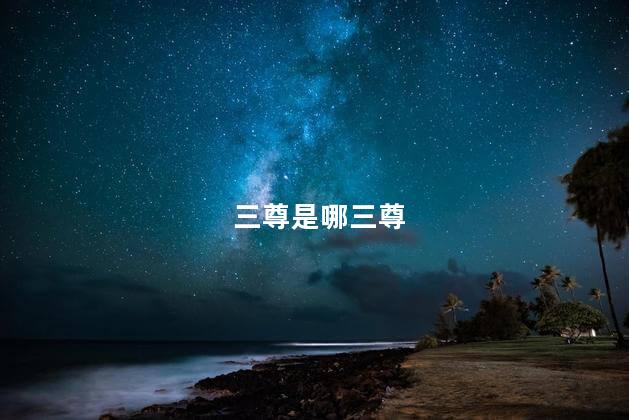 三尊是哪三尊 三尊是哪三尊