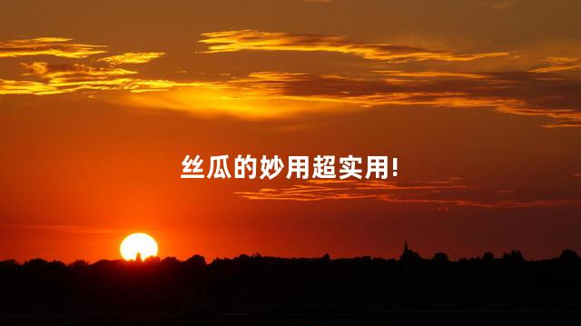 丝瓜的妙用超实用! 丝瓜的妙用超实用!