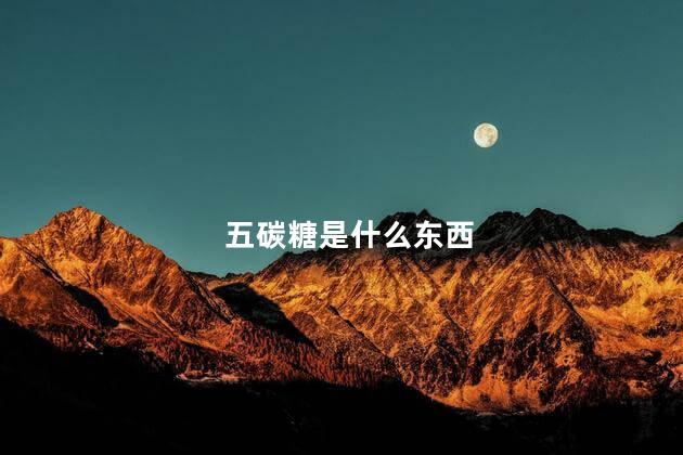 五碳糖是什么东西