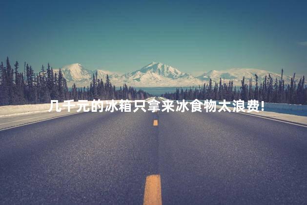 几千元的冰箱只拿来冰食物太浪费! 几千元的冰箱只拿来冰食物太浪费!