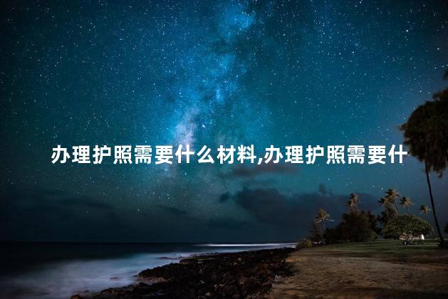 办理护照需要什么材料
