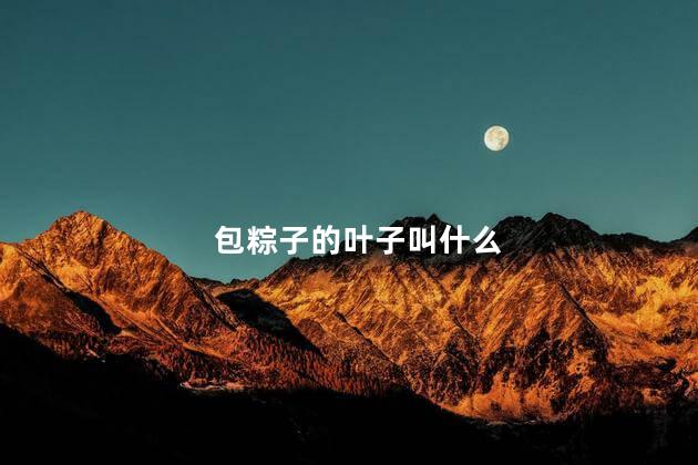 包粽子的叶子叫什么