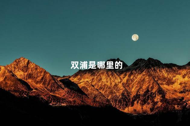 双浦是哪里的